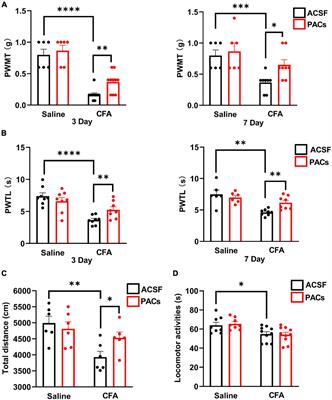 Proanthocyanidins Inhibit the Transmission of Spinal Pain Information Through a Presynaptic Mechanism in a Mouse Inflammatory Pain Model